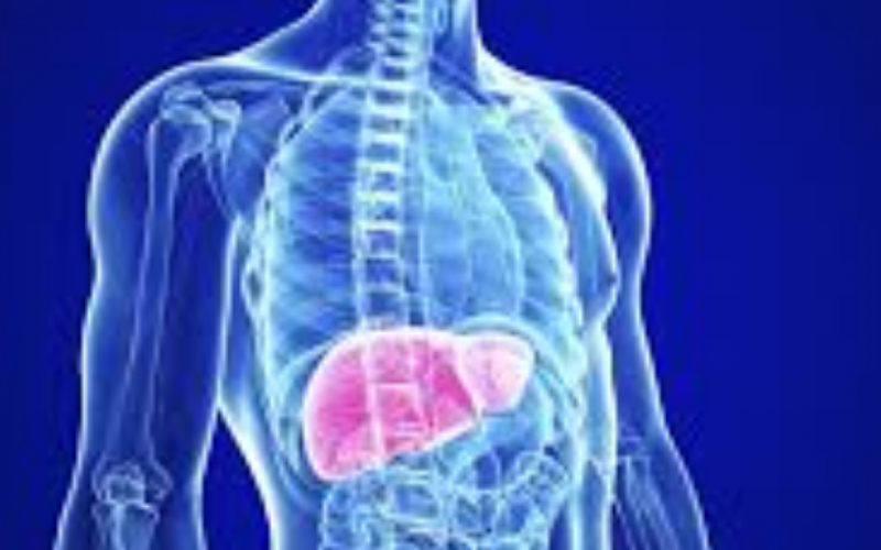 Hepatitis