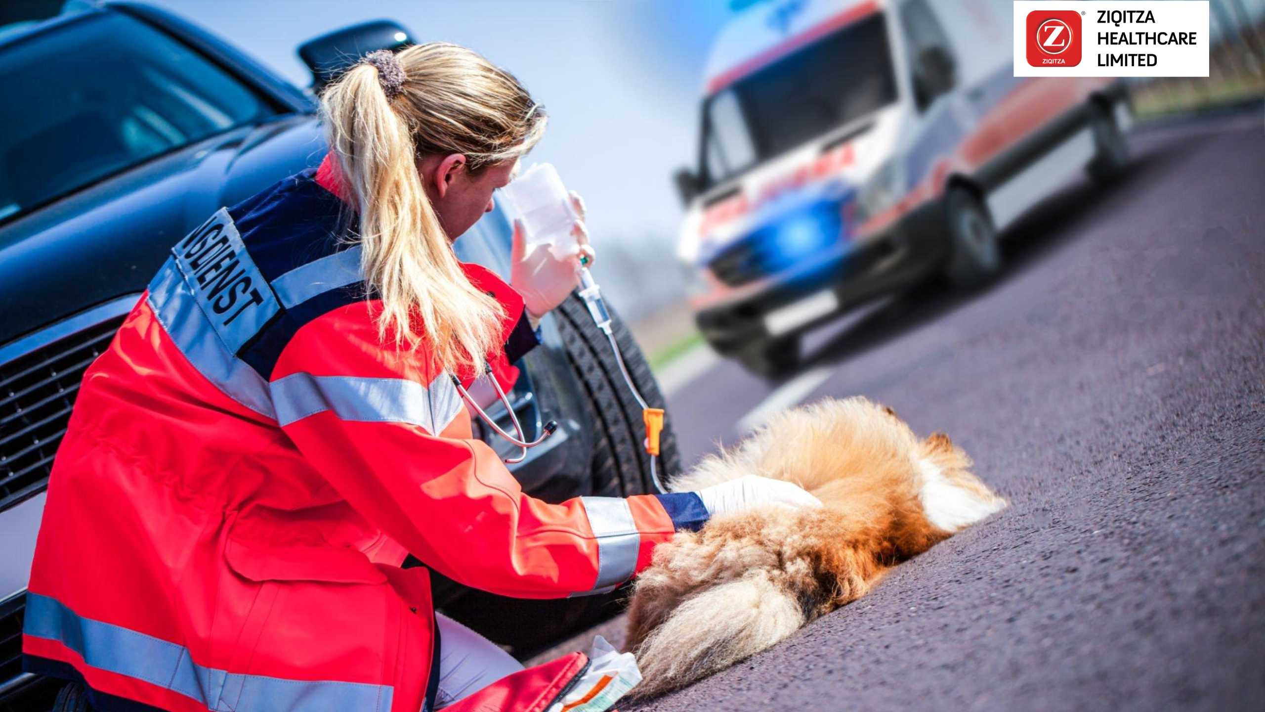 Be Emergency ready for pets with Animal Ambulance